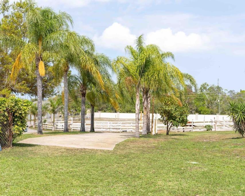 Apartmán Tampa Bay Oasis Tarpon Springs Exteriér fotografie
