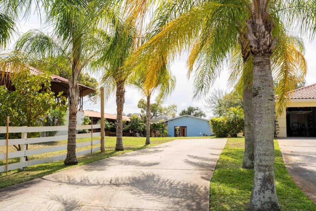 Apartmán Tampa Bay Oasis Tarpon Springs Exteriér fotografie