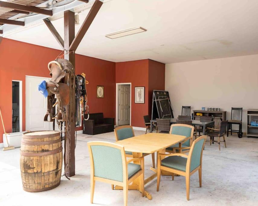 Apartmán Tampa Bay Oasis Tarpon Springs Exteriér fotografie