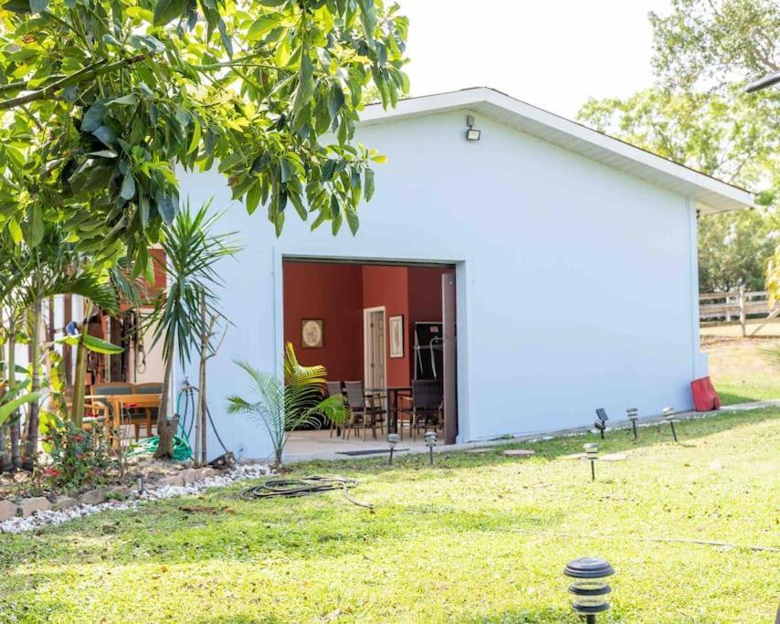 Apartmán Tampa Bay Oasis Tarpon Springs Exteriér fotografie