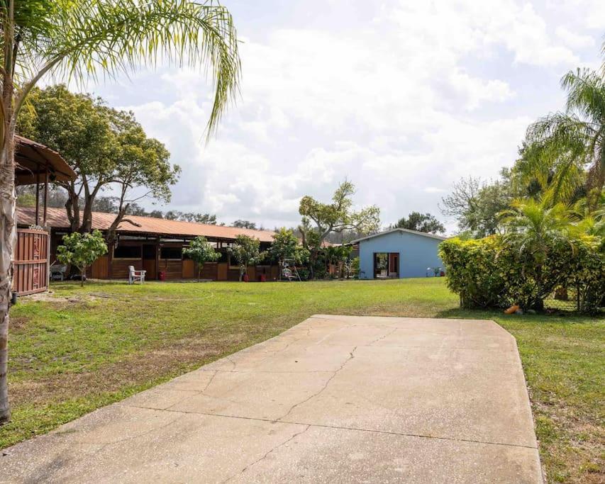 Apartmán Tampa Bay Oasis Tarpon Springs Exteriér fotografie